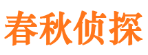 大新侦探